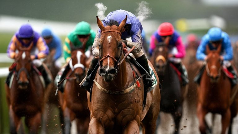 smart bets win safely